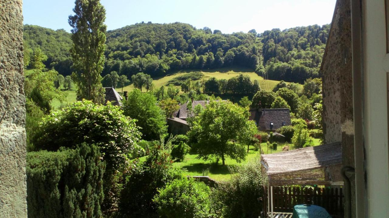 Gite De L Aspre Fontanges Exterior photo