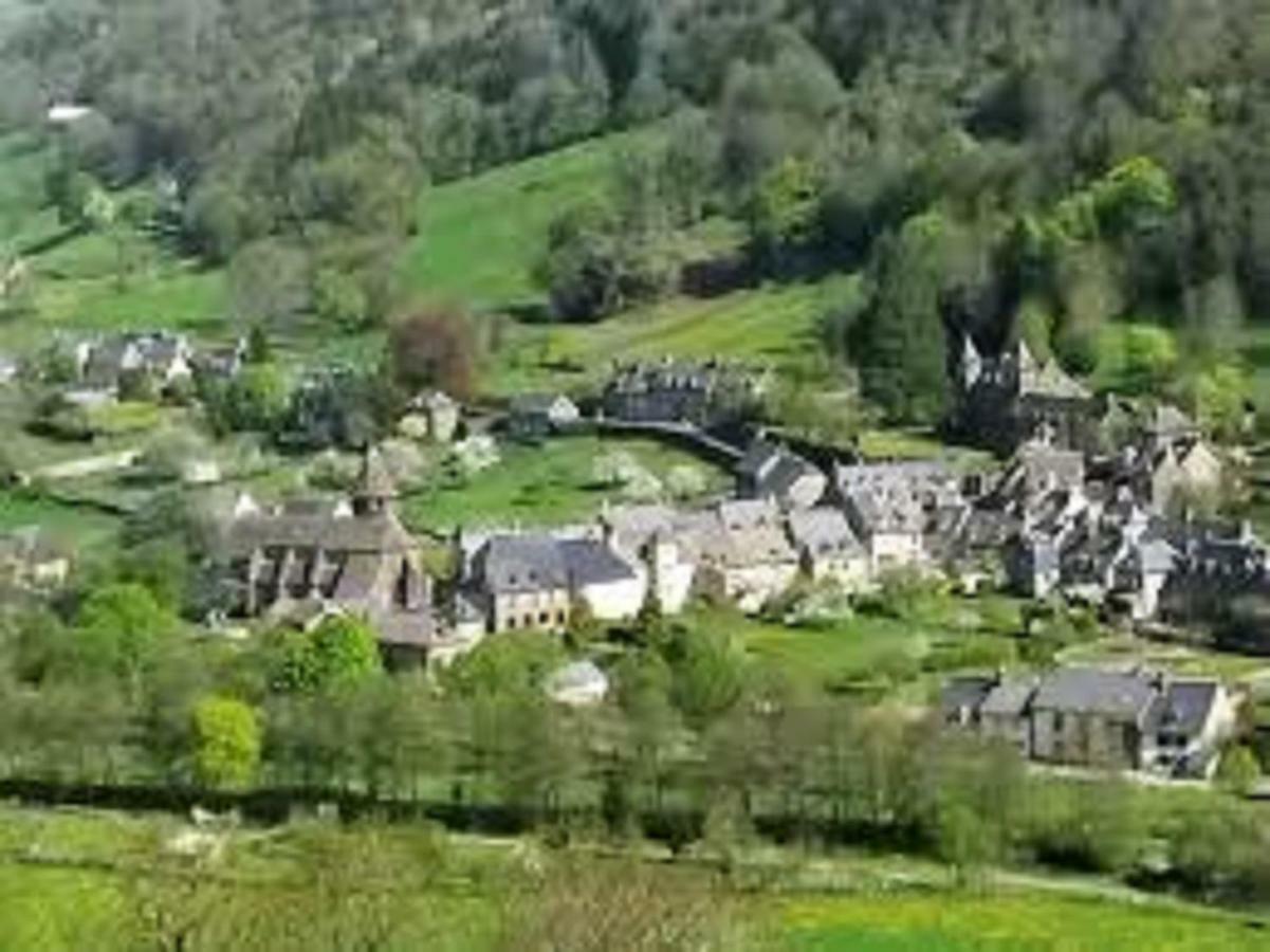 Gite De L Aspre Fontanges Exterior photo